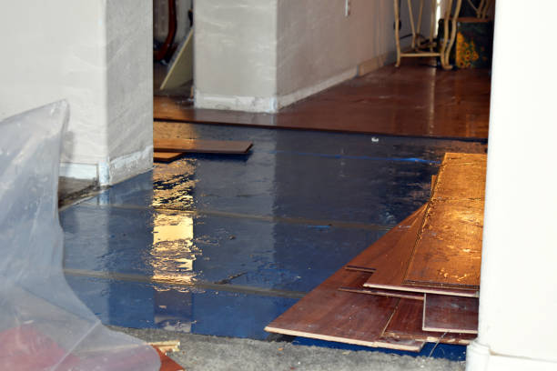 Professional Water Damage Restoration technician working in Prague, NE